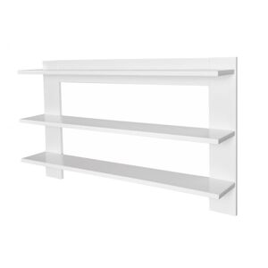 BabyStyle Chicago Shelf
