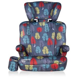 Cosatto Ninja Group 2/3 Car Seat-Harewood