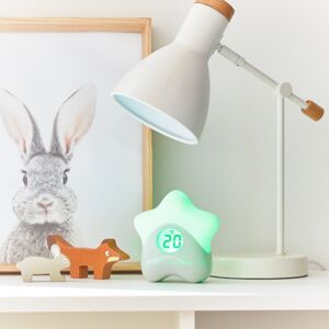 Purflo Starlight Room Thermometer-Grey