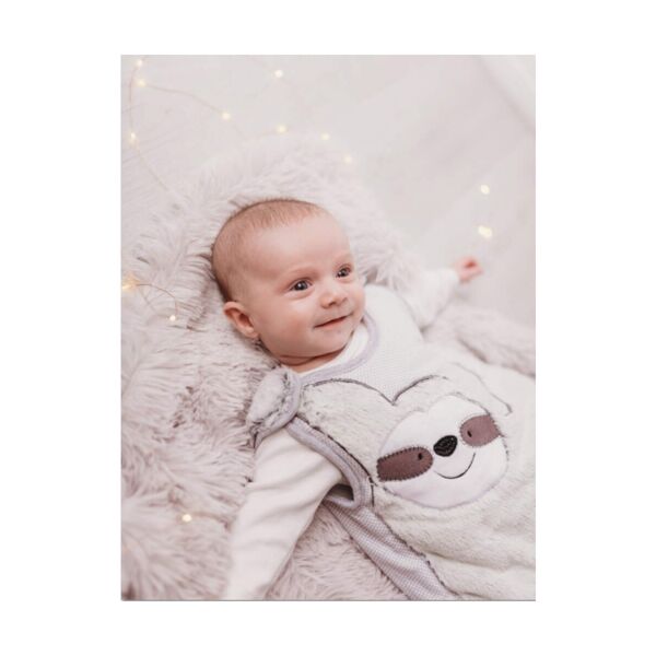 Bizzi Growin 2.5 Tog Sleeping Bag 0-6 Months-Sidney the Sloth (N
