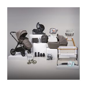 Bababing Raffi 2 18 Piece Travel, Home & Feeding Bundle - Minky